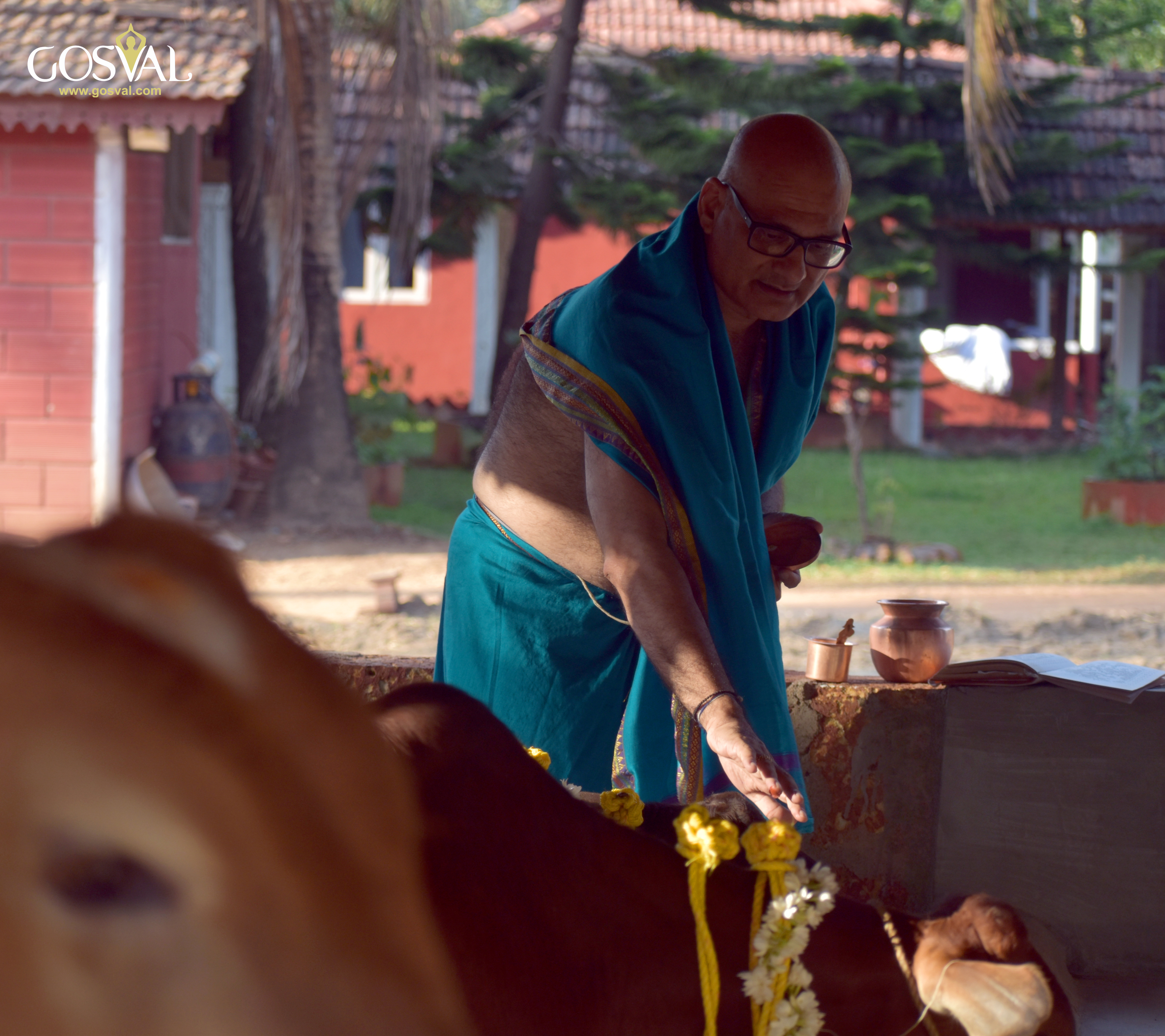 Go Seva at Udupi Adhram